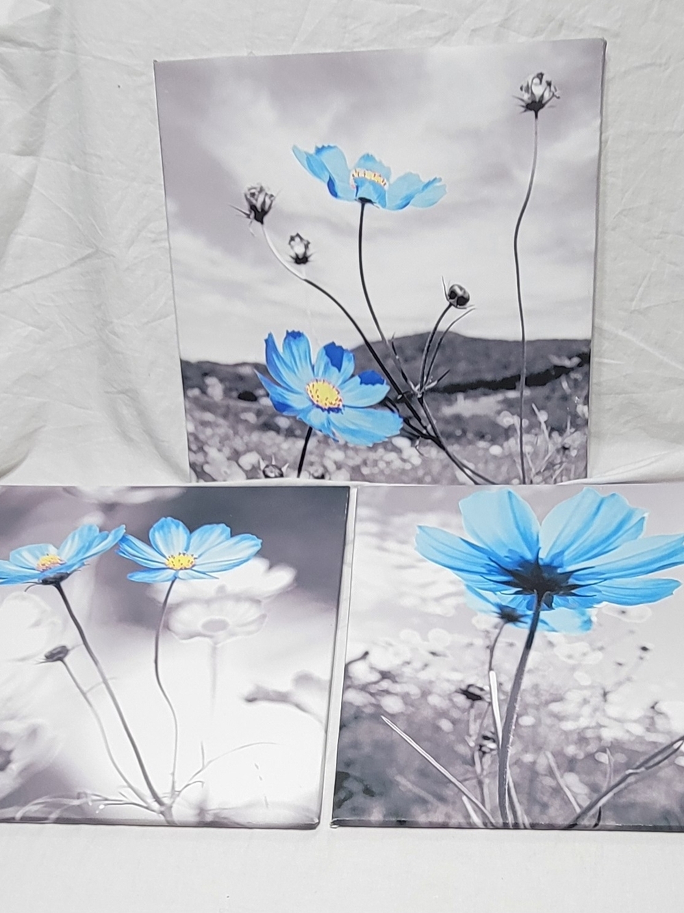 Blue Flower Canvas Print 3 Piece Set, Black/White Background, Ready to Hang